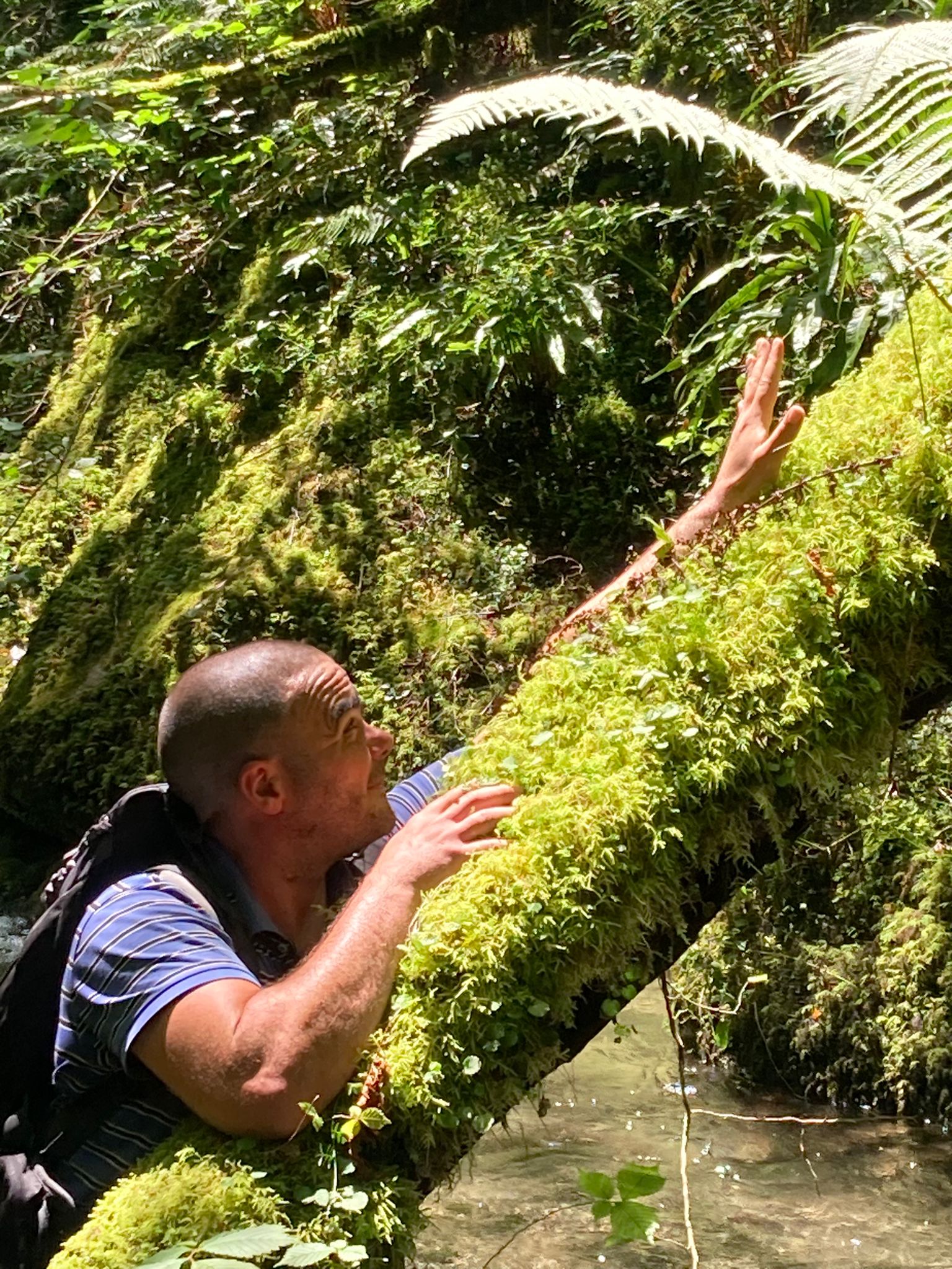 Perfil de Henri-xavier