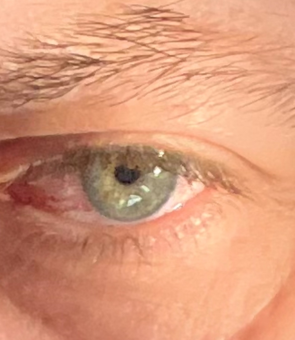 Perfil de Nassurdine