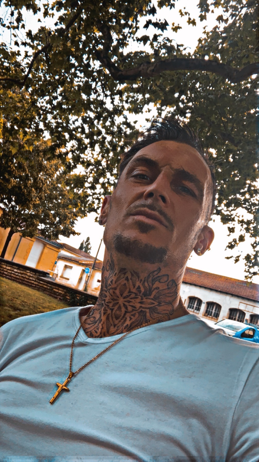 Perfil de Ferdinando